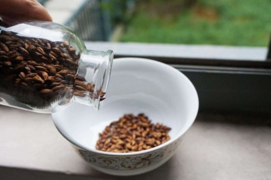 大麥茶上火嗎，喝大麥茶會不會上火？