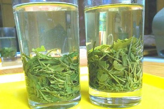 茶葉為什么不能亂送人，買茶葉一次送一盒還是兩盒