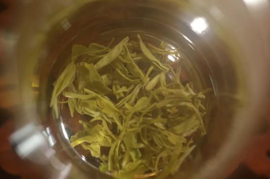 碧螺春正確泡法和飲用，碧螺春茶泡茶方法與溫度