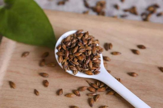 大麥茶上火嗎，喝大麥茶會不會上火？