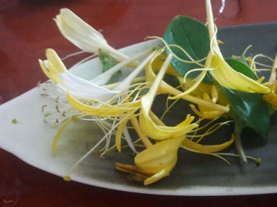 喝茶治口臭嗎，什么茶治口臭好？