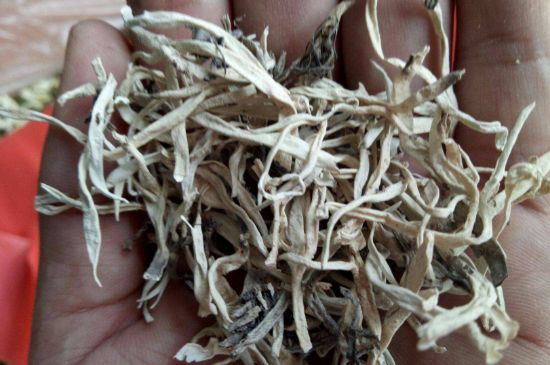 麗江雪茶的禁忌，白雪茶的副作用