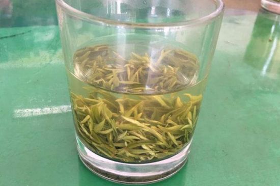 碧螺春正確泡法和飲用，碧螺春茶泡茶方法與溫度