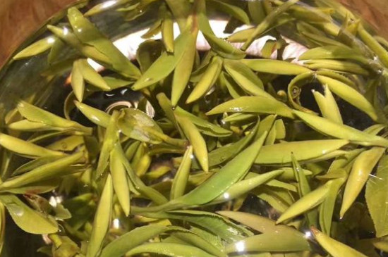 八大茶系都有哪幾種，八大茶系都是什么名字