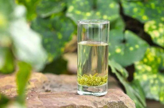 碧螺春沖泡三要素，碧螺春怎么泡才正確？