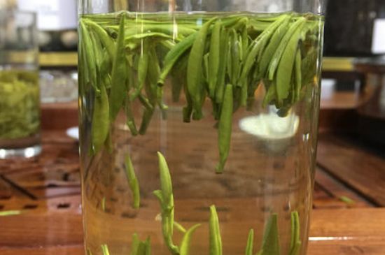 雀舌茶的副作用，雀舌茶什么人不能喝？