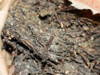 長期飲用黑茶的副作用，黑茶的功效與作用