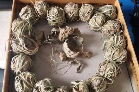 鷓鴣茶用拆開泡嗎，鷓鴣茶要解開繩子泡嗎