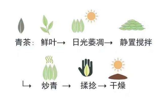 茶葉名稱大全和圖片，茶葉名字大全三四個字！