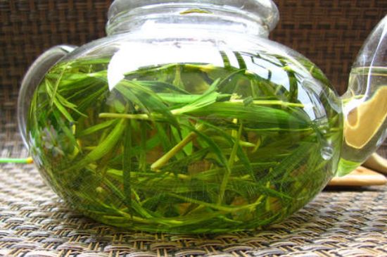 竹葉茶的禁忌，竹葉泡茶的功效禁忌