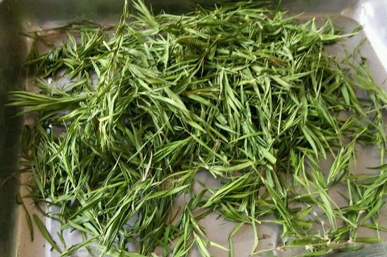 哪類(lèi)人不適合喝石竹茶，石竹茶的功效與禁忌