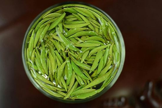 雀舌茶什么人不能喝，雀舌茶的功效與禁忌