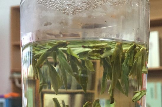 煮茶器能煮龍井嗎，龍井茶能不能用煮茶器圖