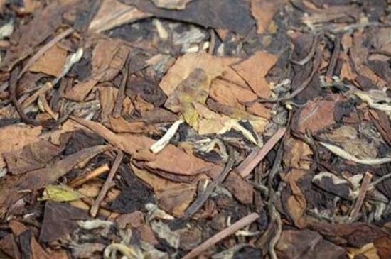 福鼎白茶能長時間悶泡嗎，老白茶可以悶著喝嗎？