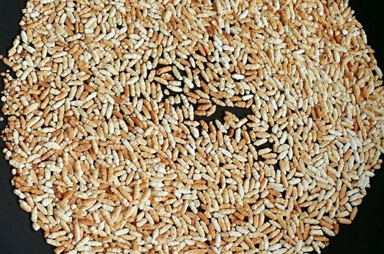 玄米茶是紅茶嗎，玄米茶怎么喝