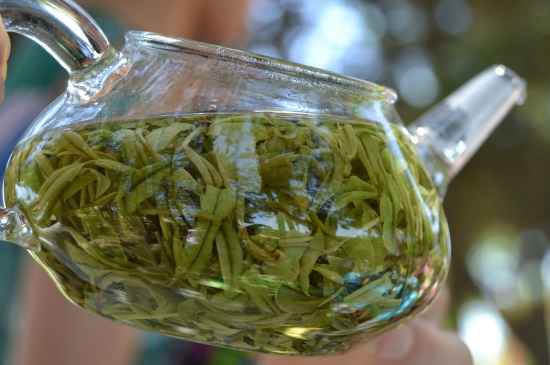 新手學(xué)泡茶的基本常識(shí)，從零開始學(xué)泡茶