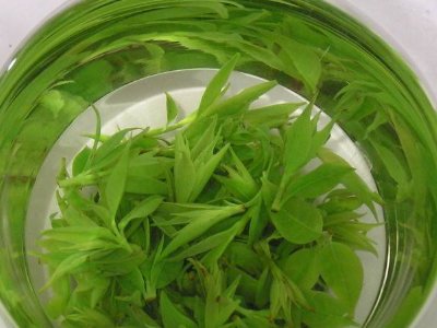 茶葉具有什么功效，茶葉的功效與作用大全