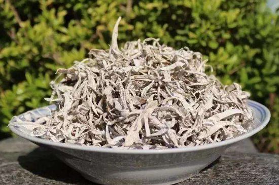 麗江雪茶的功效與作用，白雪茶有什么功效和作用