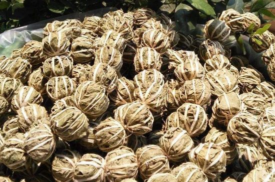 鷓鴣茶的禁忌，海南鷓鴣茶副作用