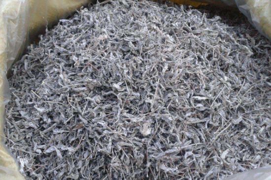 怎樣辨別莓茶發(fā)霉了，莓茶發(fā)霉和白霜的區(qū)別