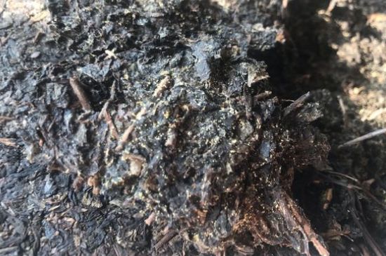 茯茶可以放在冰箱里存放嗎，茯磚茶如何儲(chǔ)存？