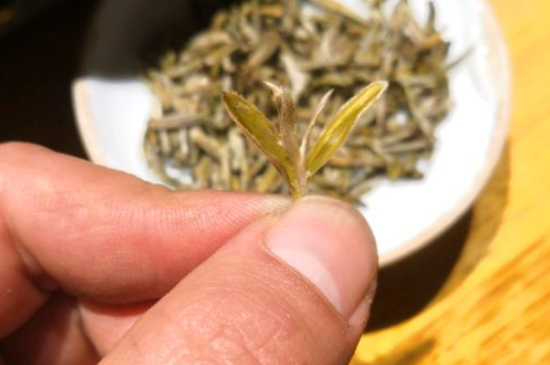 六大茶類哪種適合長期存放，日常如何保存方法一覽？