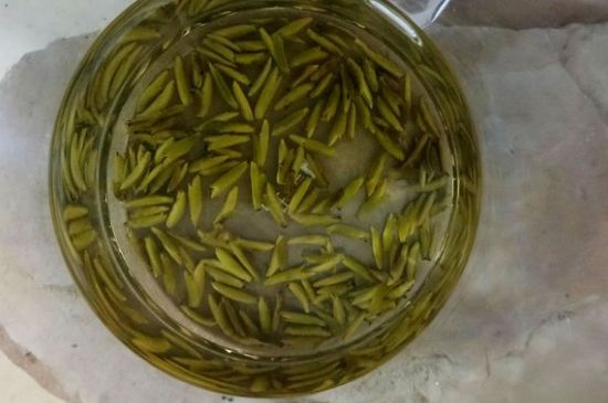 茶葉在哪里買比較好，哪里能買到好的茶葉