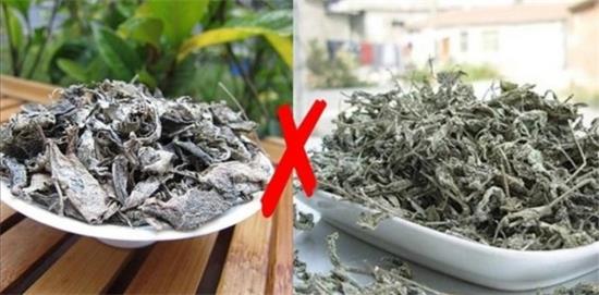 張家界茅巖莓茶與藤茶是同一種茶嗎，藤茶跟莓茶一不一樣？