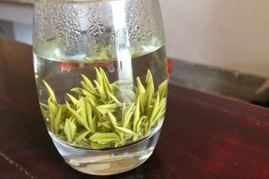 安吉白茶耐寒嗎，白茶適合放冰箱嗎