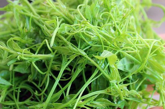 茅巖莓茶別名是什么，莓茶別名叫藤茶嗎？