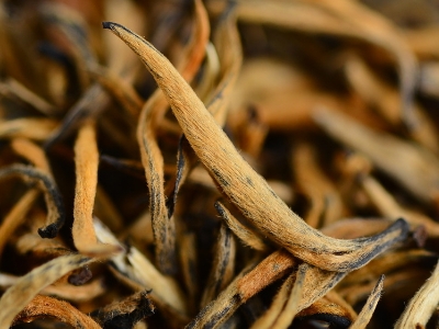 怎么知道什么茶葉適合自己，怎么判斷自己適合喝什么茶？