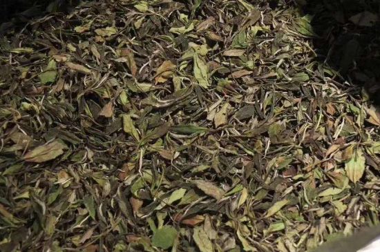 陳茶還是新茶好，茶葉是新茶好喝還是陳茶好喝