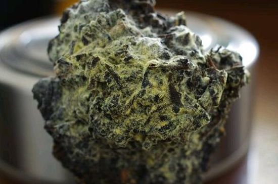 涇渭茯茶保質(zhì)期多久，陜西涇渭茯茶能放幾年