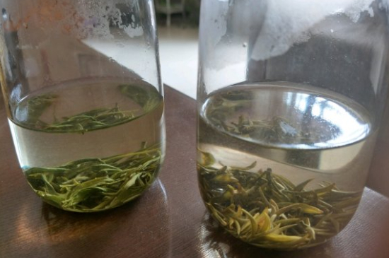 真假碧螺春泡水后區(qū)別，蘇州洞庭碧螺春怎樣鑒別好壞？