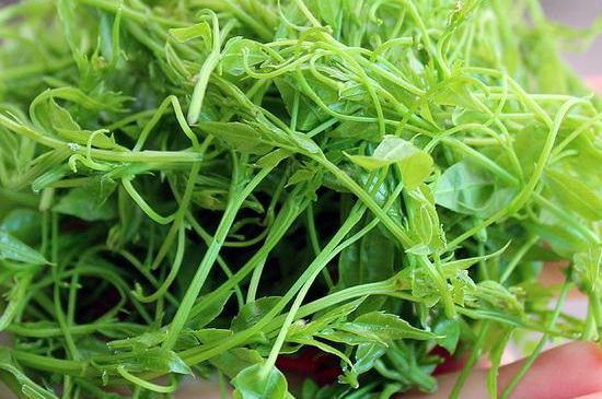 茅巖莓茶保質(zhì)期有多久，張家界莓茶存放時(shí)間長(zhǎng)了還能喝嗎？