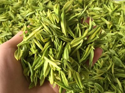 白茶品質(zhì)如何區(qū)分，白茶的優(yōu)劣質(zhì)量辨別方法