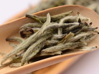 白毫銀針放幾年最好，白毫銀針什么年份最好？