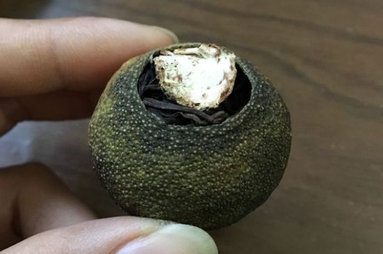 怎么知道小青柑是真的假的圖片，如何區(qū)分真假新會(huì)小青柑