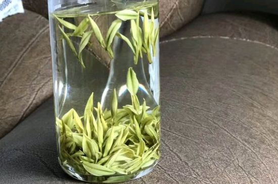 安吉白茶夏天怎么保存，安吉白茶能冷凍儲存嗎？