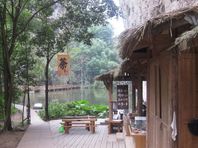 實體店買茶葉的技巧，新手買茶須知