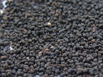 圓形顆粒狀茶是什么茶，像飼料一樣一粒粒的是什么茶？