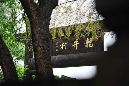 杭州買(mǎi)龍井茶攻略，怎么買(mǎi)到正宗的西湖龍井？