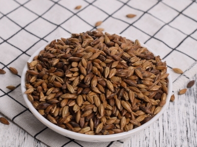 圓形顆粒狀茶是什么茶，像飼料一樣一粒粒的是什么茶？