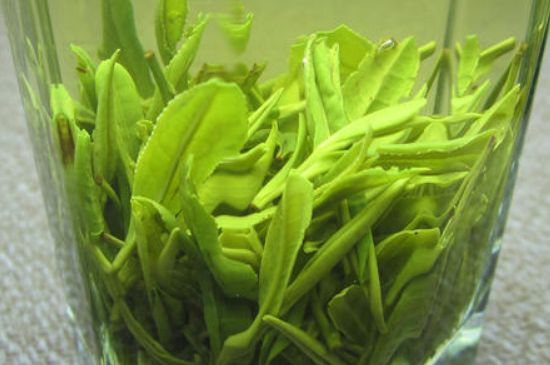 哪種茶葉可以放冰箱，哪些茶不能放冰箱？