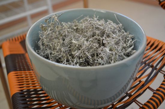 怎樣辨別莓茶發(fā)霉了，莓茶發(fā)霉和白霜的區(qū)別