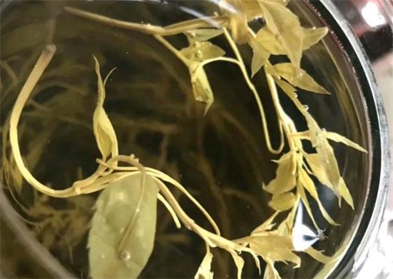 張家界茅巖莓茶與藤茶是同一種茶嗎，藤茶跟莓茶一不一樣？