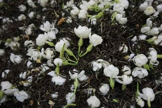 茉莉龍珠怎么做的，茉莉龍珠的制作工藝