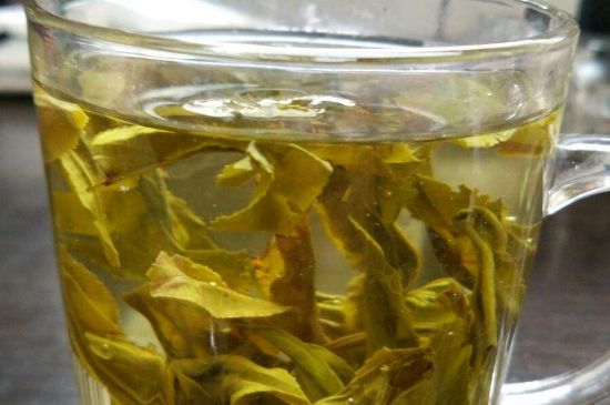 茉莉龍珠可以和什么一起泡茶，茉莉龍珠茶能加蜂蜜嗎？