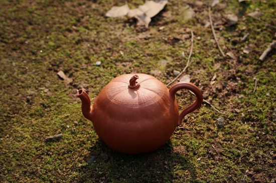 紫砂壺泡什么茶最佳，紫砂壺一般泡什么茶？