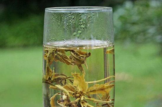 茉莉龍珠什么人不能喝，茉莉龍珠茶什么體質(zhì)不能喝？